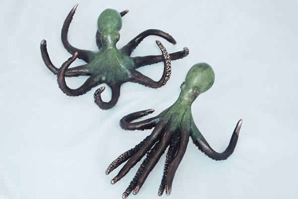 Octopus pair